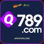 Q789 Game