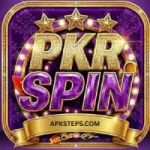 PKR Spin Game